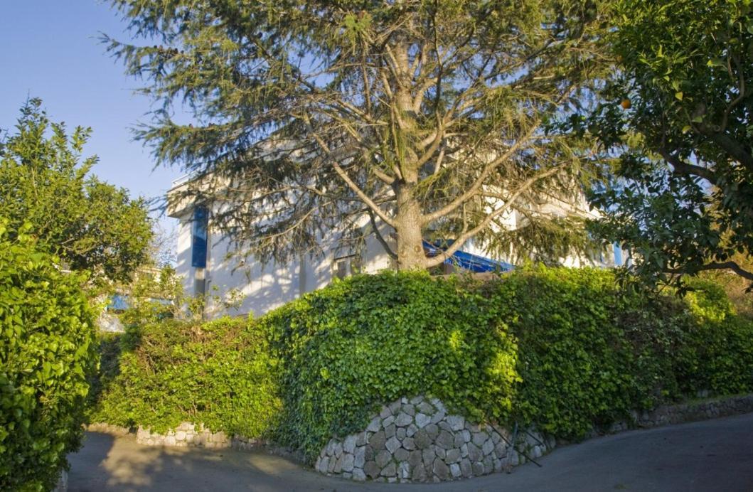 Villa Francesca Sorrento Luaran gambar